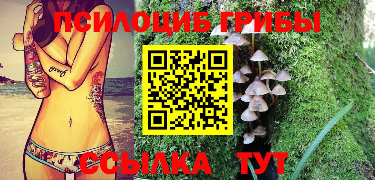 Ейск  Галлюциногенные грибы MAGIC MUSHROOMS  Псилоцибиновые грибы прущие грибы  Вход с VPN 